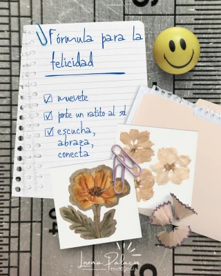 Instagram post from lorenapalaciospsicologa. This post is in position 2.